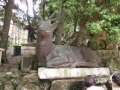 Nara : Kasugataisha